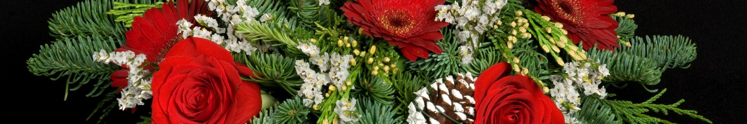 Christmas Flowers Selection